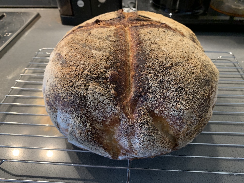 Quite a tall loaf of sourdough